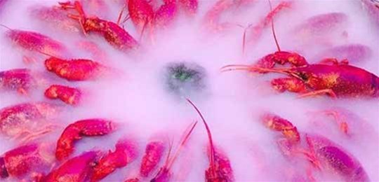 如何選擇山西高純氣體管道配管及附件材料？